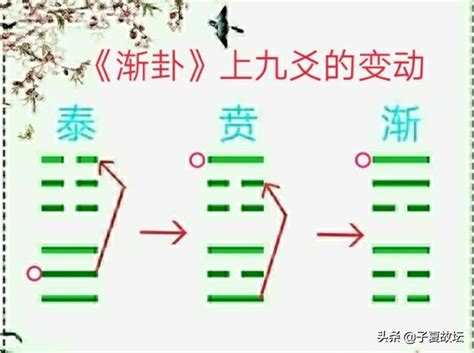 鴻漸於陸|周易·漸卦